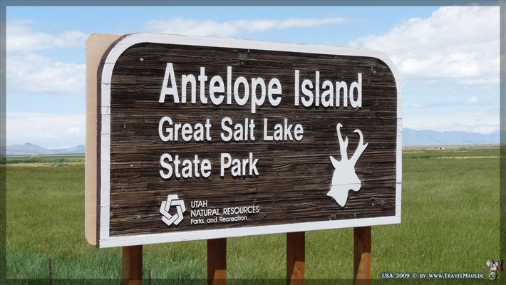 Antelope Island im Salt Lake (9$/Auto) N 41°05´21.3´´ W 112°07´06.0´´