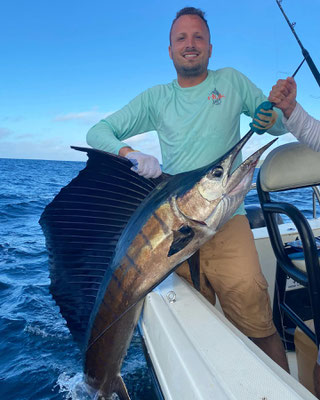 seychelles-fishing reports & information - Seychelles fishing - reports &  information - Seychellen angeln