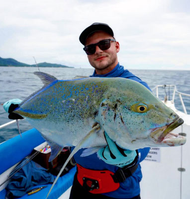 seychelles-fishing reports & information - Seychelles fishing - reports &  information - Seychellen angeln