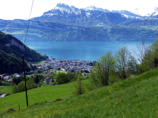 Blick zu Niderbauen Kulm und Oberbauenstock