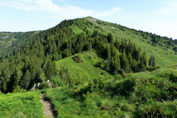 Rickhubel - Blick vom Schnabelspitz