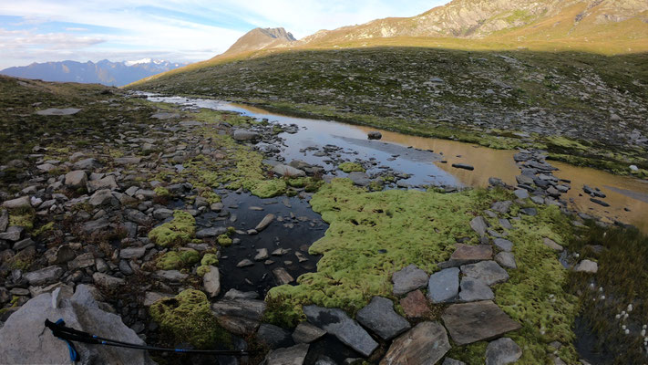 Hochmoor am Sasso di Paisgion