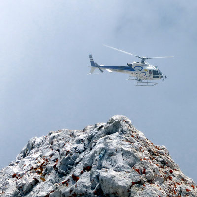 Heli mit Fotokunden