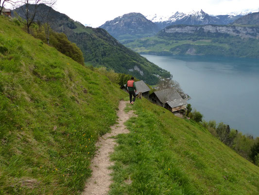 Alpe bei Nider Urmi - 877 M