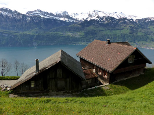 Zurück in Nider Urmi - 877 M