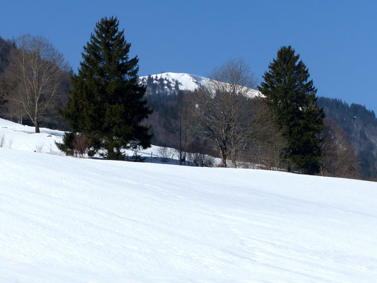 Blick vom Krunkelbachtal auf das Herzogenhorn