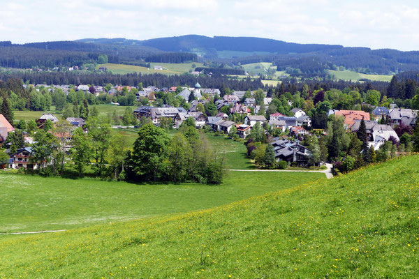 Hinterzarten - Vom Kesslerhang