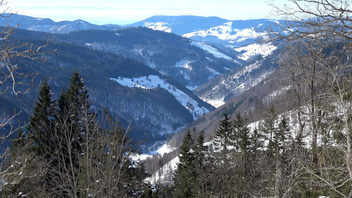 Wiesentalblick