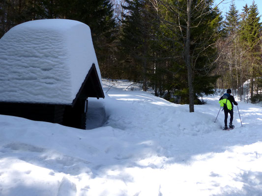 Zurück an der Finsterbühl-Schutzhütte