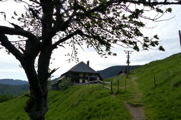 Höfener Hütte - 980 M