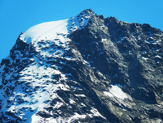 Blick vom Jegihorn auf die Gipfelzone mit dem Gipfelfirnfeld