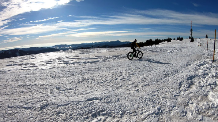 Am Feldberg-Gipfelplateau