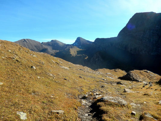 Alpe vor Tierwang - 2440 M