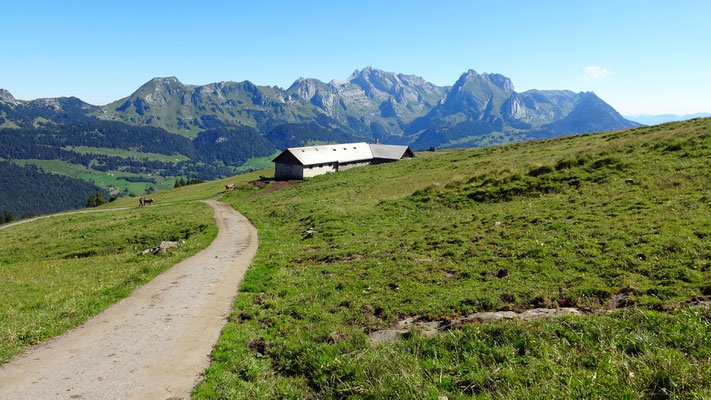 Zurück auf der Torlochalpe