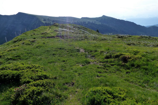 Fern am Horizont der Rickhubel