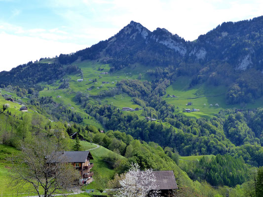 Rigi Hochflue - 1698 M