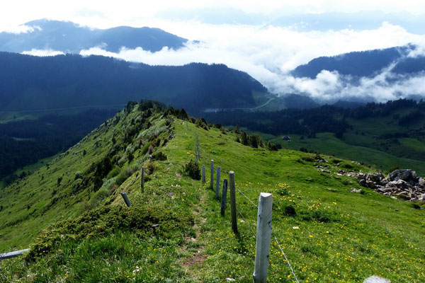 Blick vom Gipfel des Rickhubel zum Glaubenbergpass