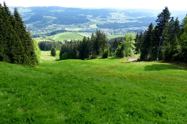 Blick vom Gipfel des Windeckkopf - 1208 M