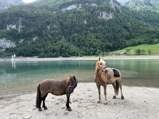 Mai 2026, am Klöntalersee