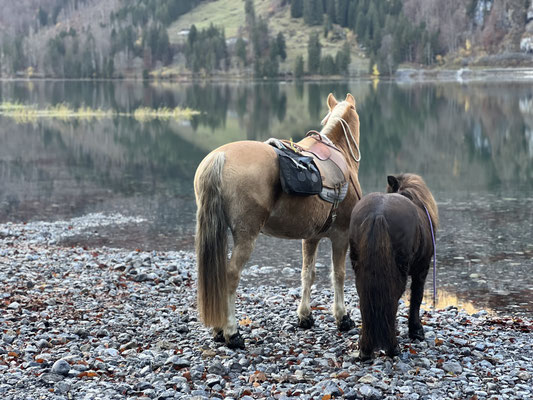 November 2025, am Klöntalersee