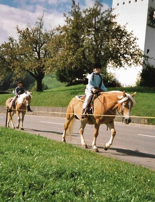 Erster Ausritt alleine mit Cinthia, Lira und Gina