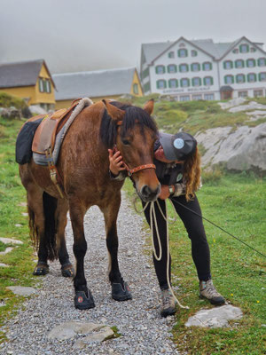 Oktober 2023, im Alpstein unterwegs