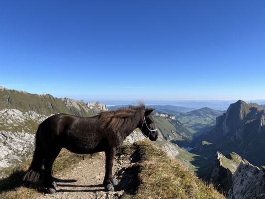 im schönen Alpstein unterwegs