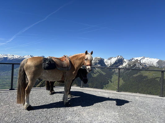 Mai 2026, auf dem Hohen Kasten