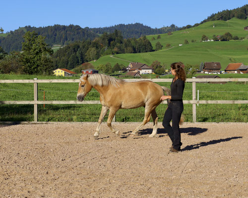Foto Claudia Mitschjeta