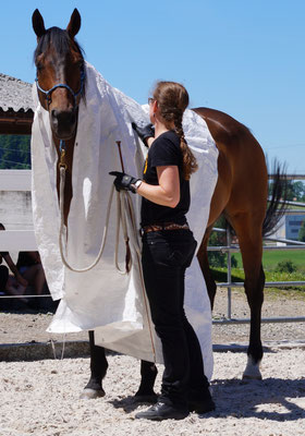 Foto Annette Kühne