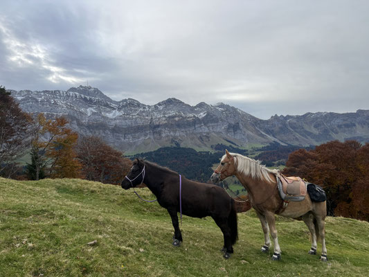 Oktober 2025, unterwegs zum Kronberg