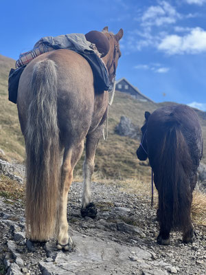 Oktober 2024, unterwegs zum Rotsteinpass