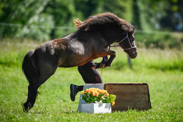 Foto Katja Stuppia