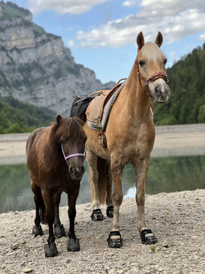 Juni 2026, Abendtour zum Klöntalersee