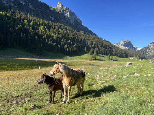 Mai 2026, am Sämtisersee