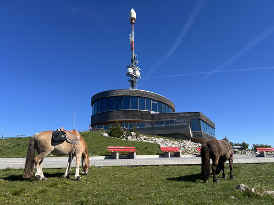 Mai 2026, Mittagspause auf dem Hohen Kasten