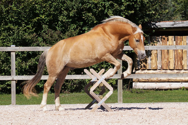 Foto Annette Kühne