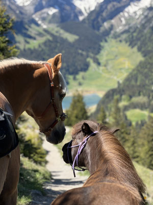 Mai 2026, Blick zum Sämtisersee