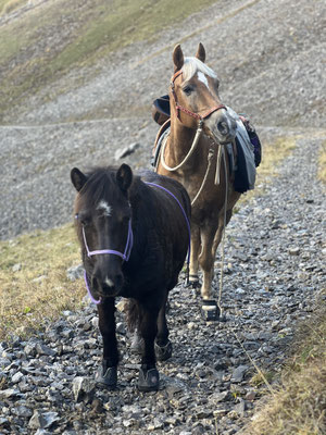 unterwegs zum Rotsteinpass