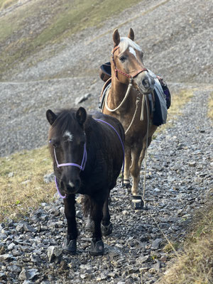 Oktober 2024, unterwegs zum Rotsteinpass