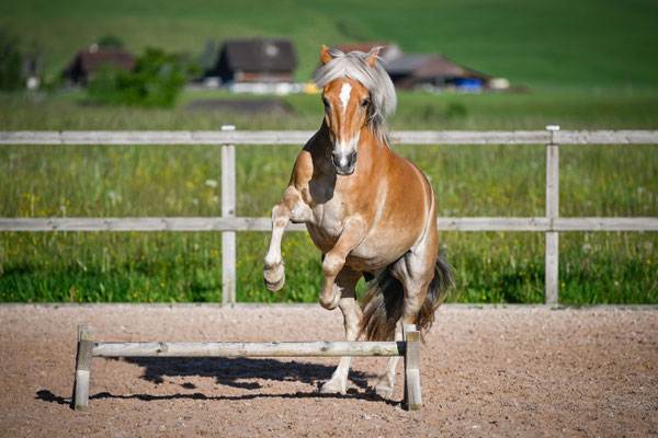 Foto Anna Stuppia