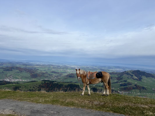 Oktober 2025, auf dem Kronberg