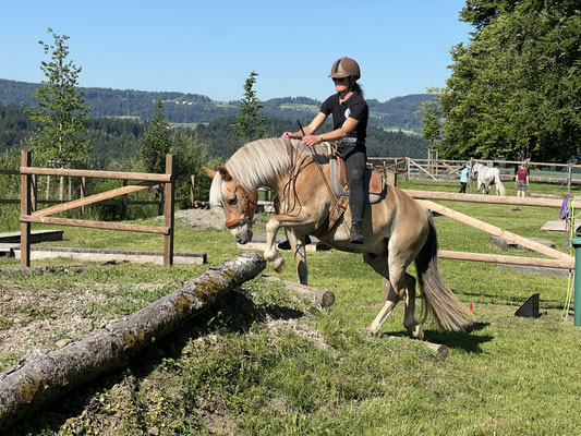 Mai 2026, Extrem-Trail Wetzikon