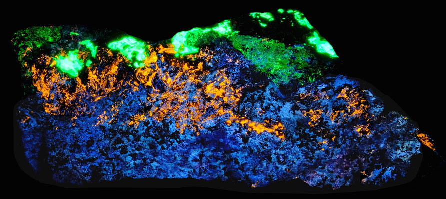 Willemite (緑), Clinohedrite (橙), Xonotlite (紺), Pectolite (藤色)*, Prehnite (桃色)*, Feldspar (赤紫)*．* 極少量か石の裏面の鉱物