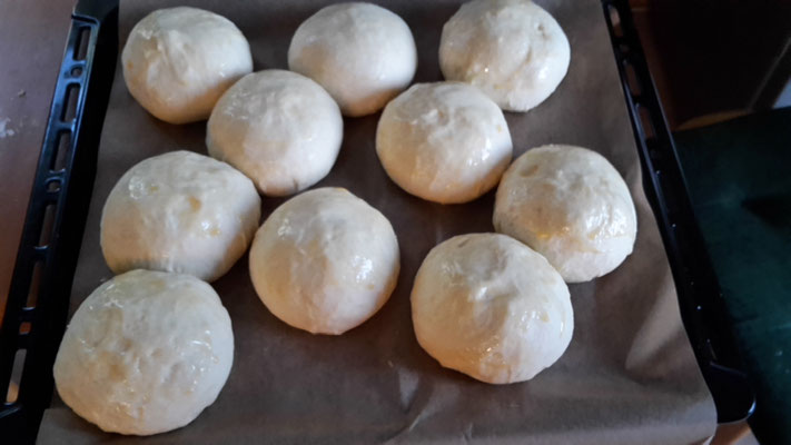 Die Buns beim aufgehen.