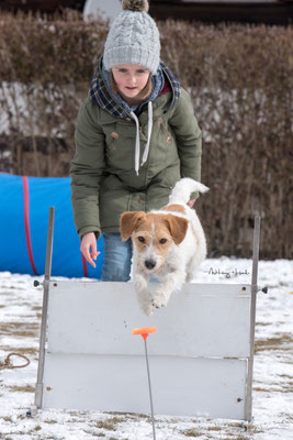 03.03.2018 - Anna und Ally im Training. Sprung, Warten, Sprung.