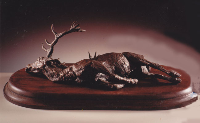 1.500 €. Venado muerto. 43x20x20 cm