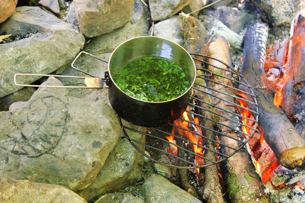 Salbe kochen, Sommercamp Habichtswald