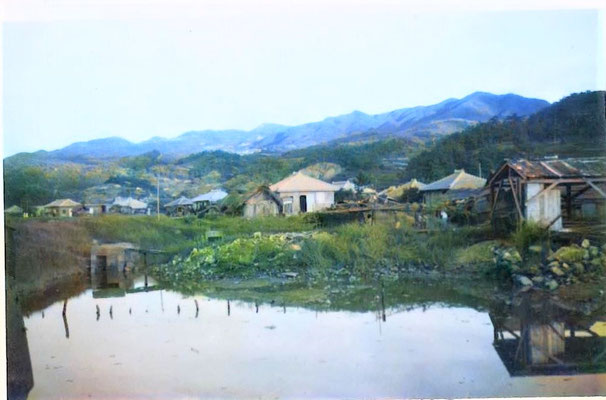 満名川沿いの照屋家から八重岳を望む。まだ旧7班が埋め立てしてない、頃八重岳のドームの無い頃。