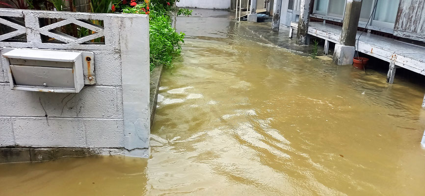 満名川水門の逆流床下浸水。
